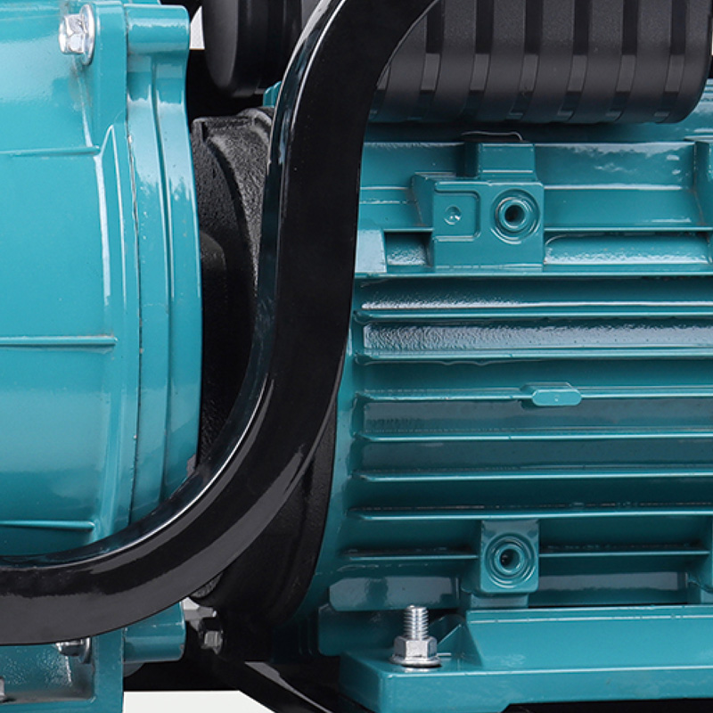 Pompe à eau d'irrigation agricole électrique de 2/3/4 pouces