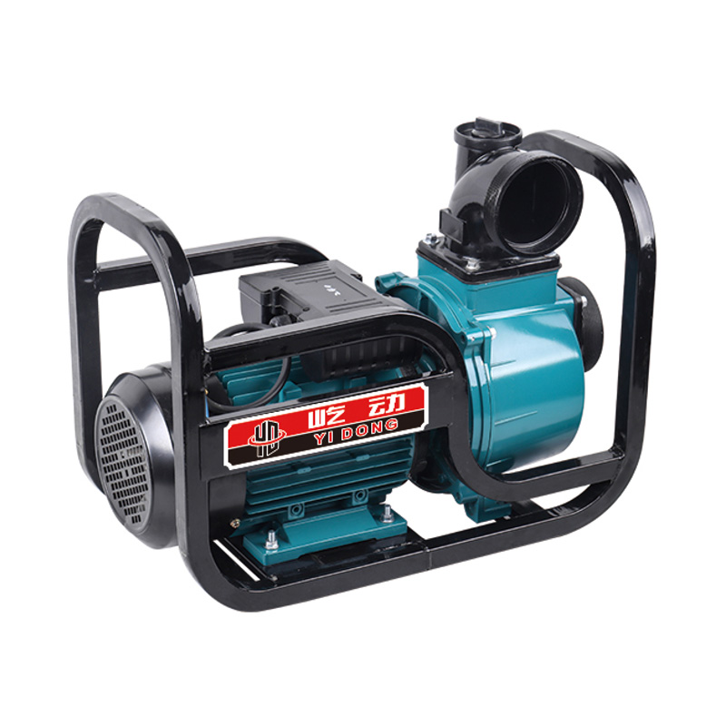 Pompe à eau d'irrigation agricole électrique de 2/3/4 pouces