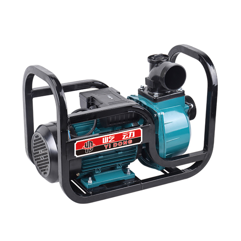 Pompe à eau d'irrigation agricole électrique de 2/3/4 pouces