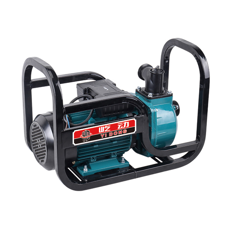 Pompe à eau d'irrigation agricole électrique de 2/3/4 pouces