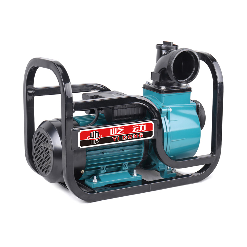 Pompe à eau d'irrigation agricole électrique de 2/3/4 pouces