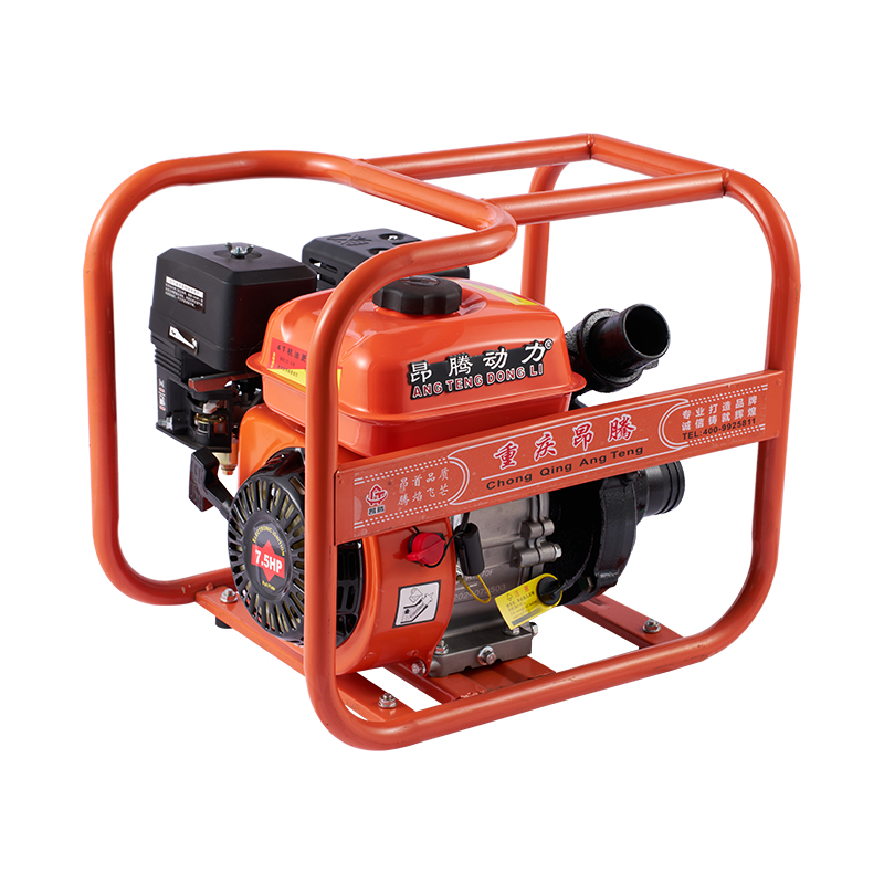 Pompe à eau à essence en fonte à cadre ouvert