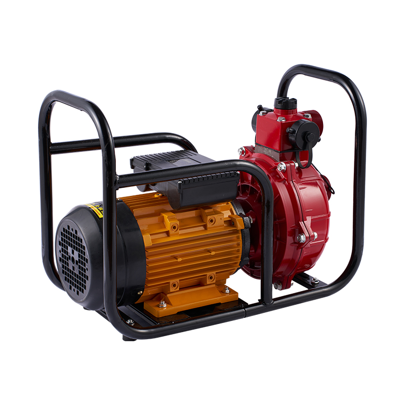 Pompe à eau électrique à double roue à grand débit pour l'irrigation