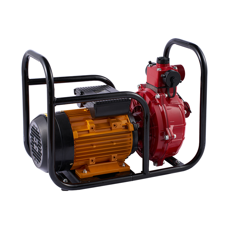 Pompe à eau électrique à double roue à grand débit pour l'irrigation